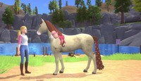Barbie Horse Trails