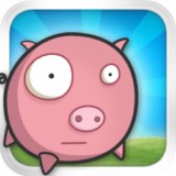 A Pigs Dream