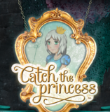 Catch The Princess