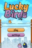 Lucky Birds City