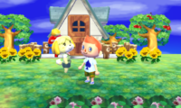 Animal Crossing 3DS