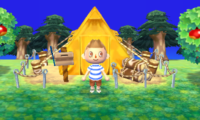 Animal Crossing 3DS