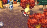 Animal Crossing 3DS