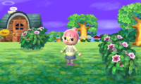 Animal Crossing 3DS