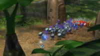 Pikmin 3