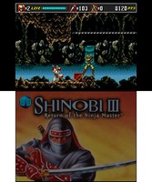 3D Shinobi III