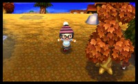 Animal Crossing New Leaf