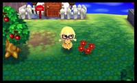 Animal Crossing New Leaf