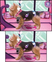 Barbie Groom and Glam Pups