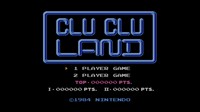 Clu Clu Land