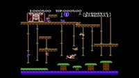 Donkey Kong Jr