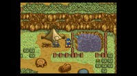 Harvest Moon