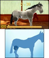 My Riding Stables 3D - Jumping for the Team