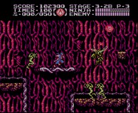 Ninja Gaiden III The Ancient Ship of Doom