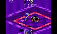 Sonic Labyrinth