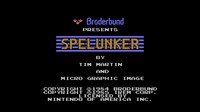 Spelunker