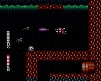 Blaster Master