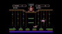 Donkey Kong Jr Math