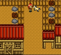 Harvest Moon 2