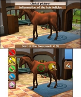 Horse Vet 3D