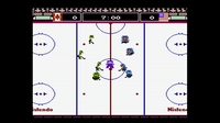 Ice Hockey