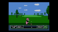 NES Open Tournament Golf