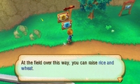 Story of Seasons