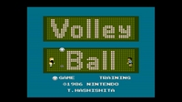 Volleyball