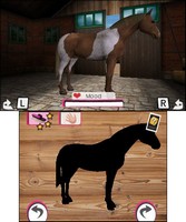 Horse Life 4