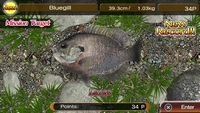 Reel Fishing Masters Challenge