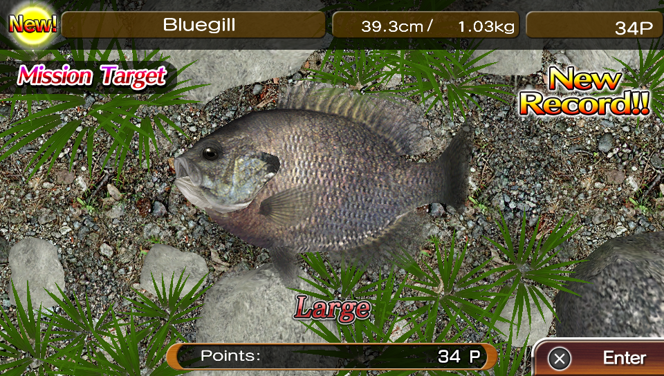 Reel Fishing Masters Challenge - Screenshots - Family Friendly Gaming