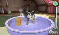 PET INN 3D