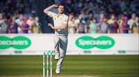 Cricket 19