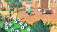 Animal Crossing New Horizons