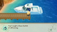 STORY OF SEASONS Friends of Mineral Town