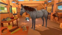 Equestrian Training