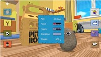 Pet Rock