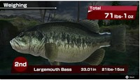 THE Bass Fishing