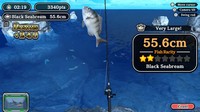 Reel It Ocean Fishing