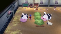 Story of Seasons Grand Bazaar