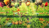Wind Story