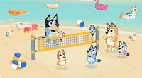 Bluey's Happy Snaps