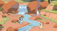 Bluey's Happy Snaps