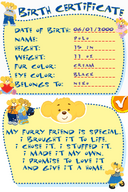 Build A Bear DS
