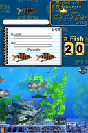 Fish Tycoon DS
