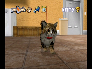 Purr Pals