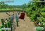 Minicopter Adventure