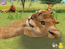 Animal Paradise