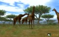 Natsume E3 2009