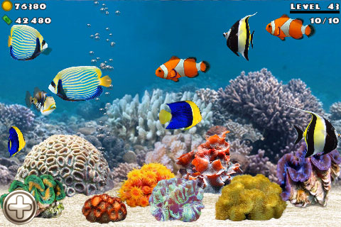 Fish Farm